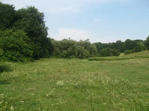 Landscape Stock Photos