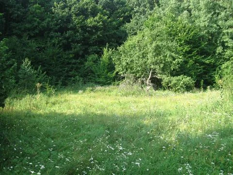 Landscape Stock Photos