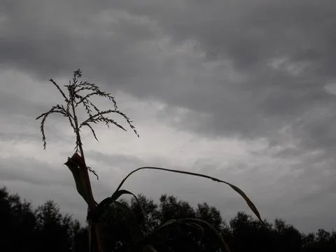 Landscape Stock Photos