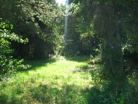 Landscape Stock Photos