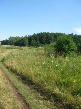 Landscape Stock Photos