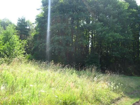 Landscape Stock Photos