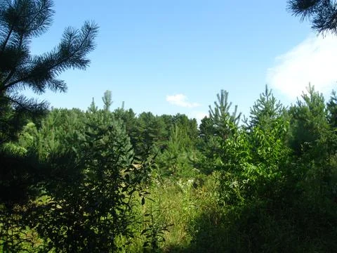 Landscape Stock Photos