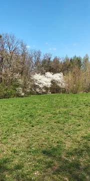 Landscape Stock Photos