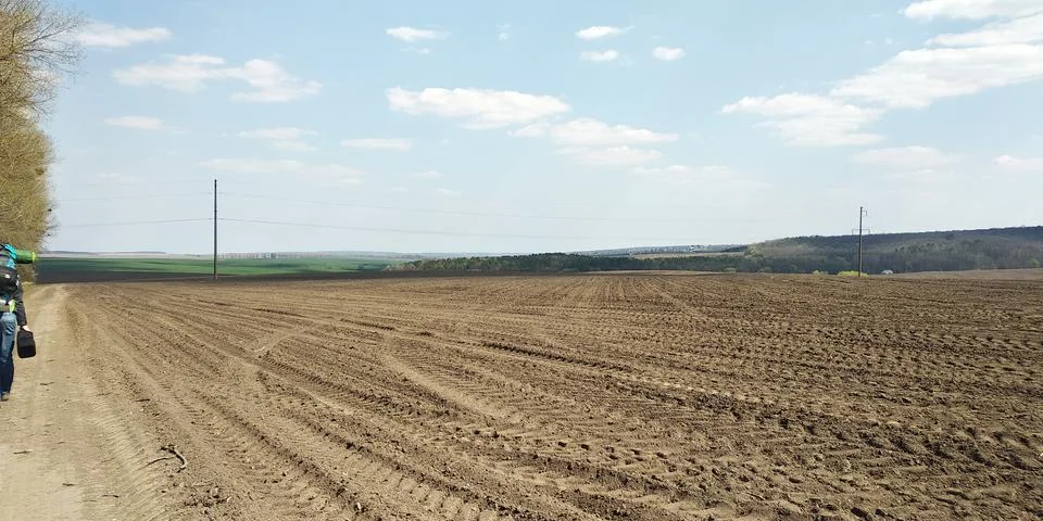 Landscape Stock Photos