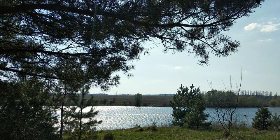 Landscape Stock Photos