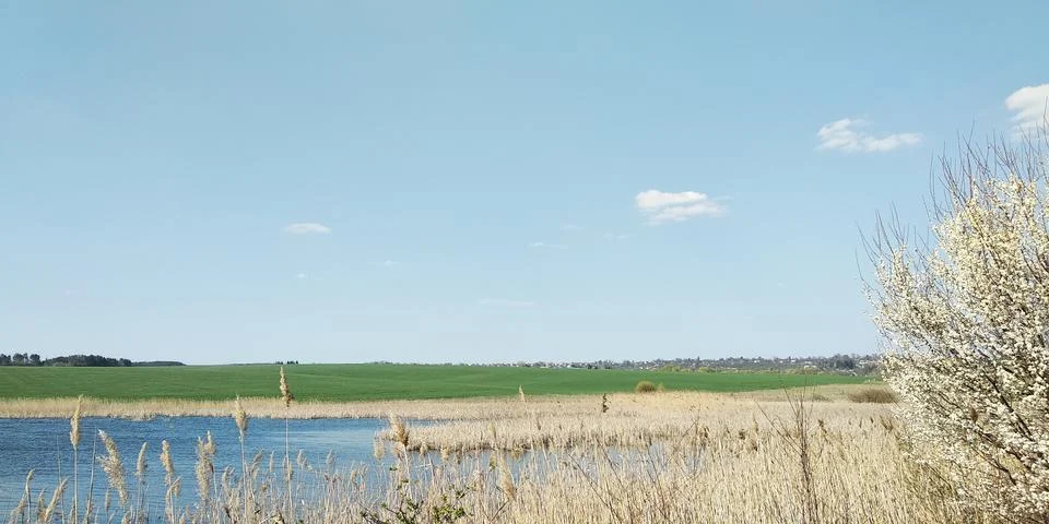 Landscape Stock Photos