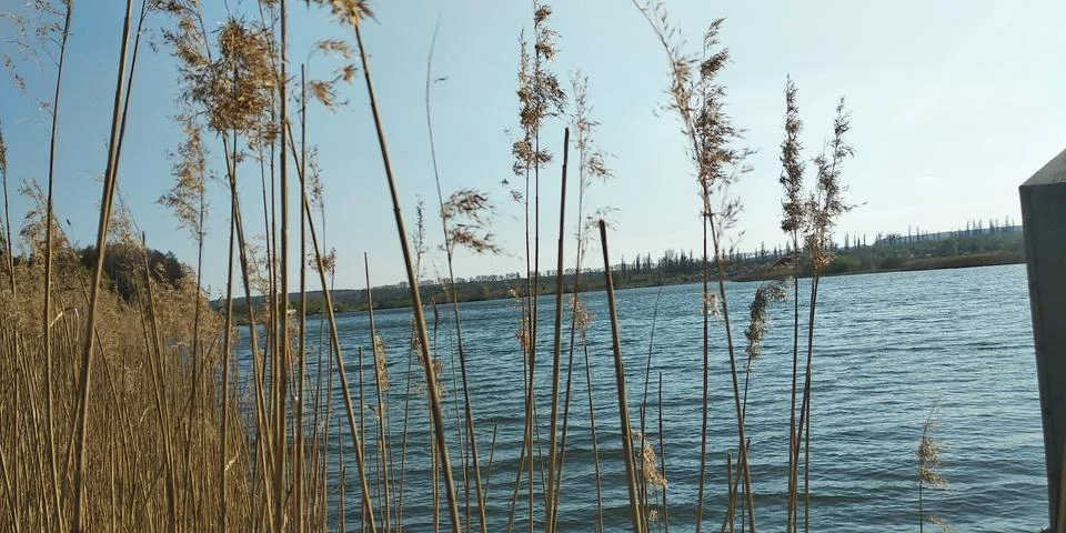 Landscape Stock Photos