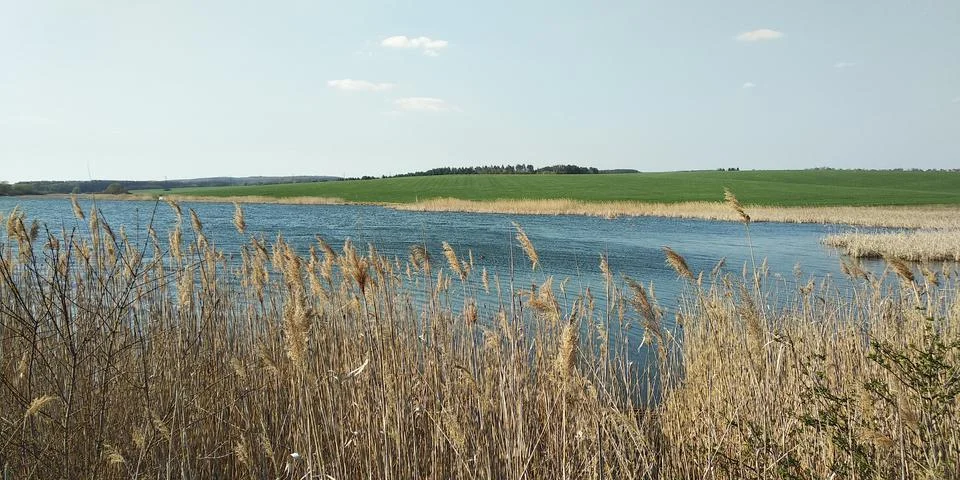 Landscape Stock Photos
