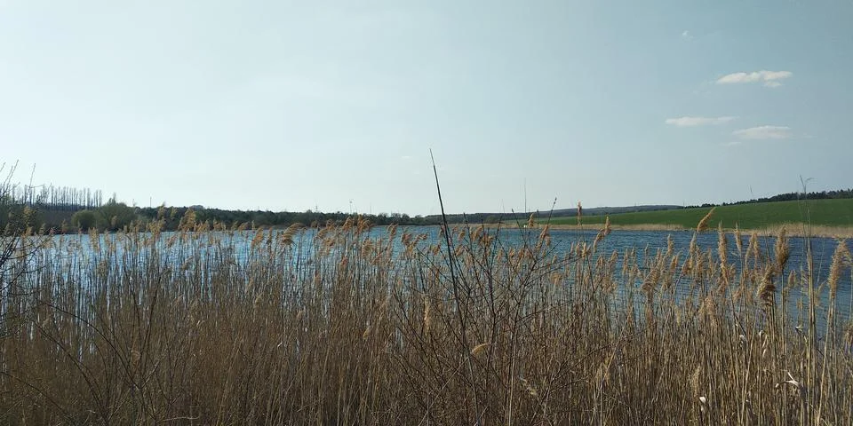 Landscape Stock Photos