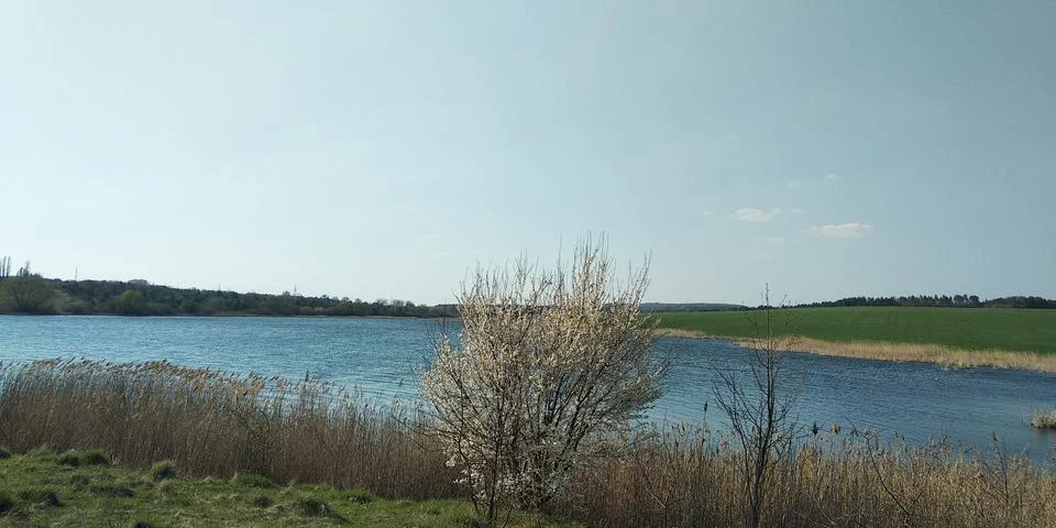 Landscape Stock Photos