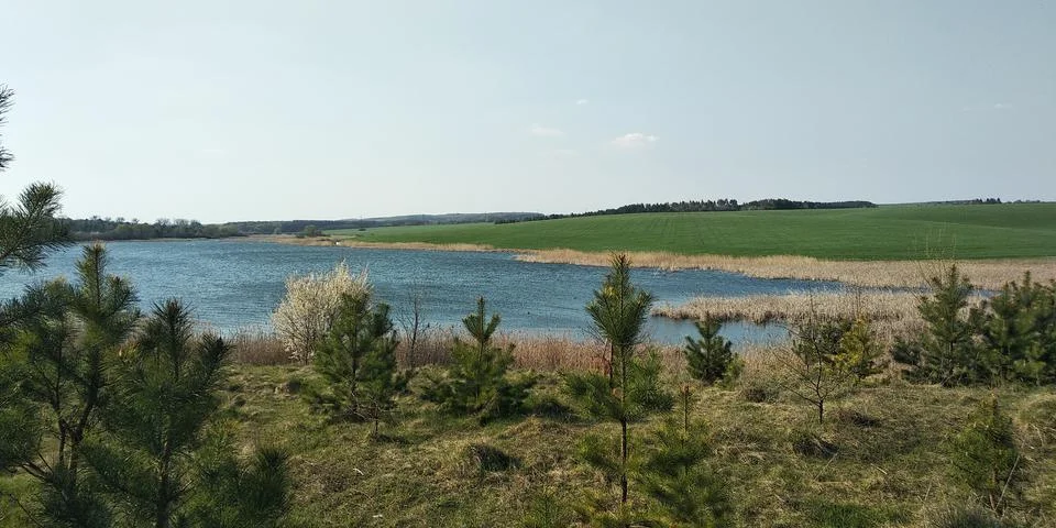 Landscape Stock Photos