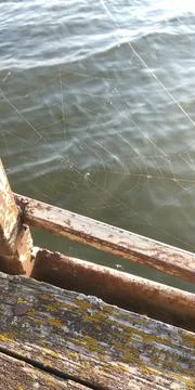 Landscape Stock Photos