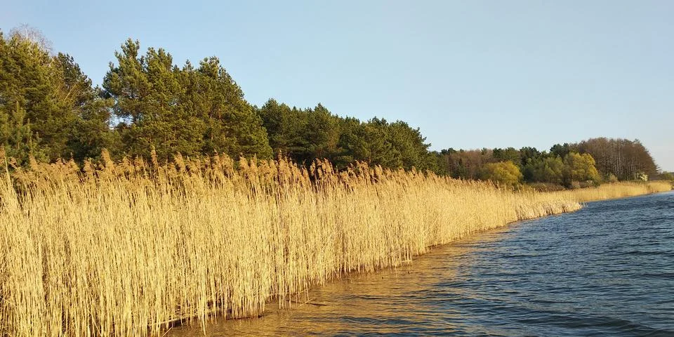 Landscape Stock Photos