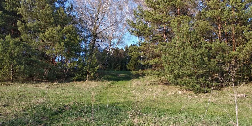 Landscape Stock Photos