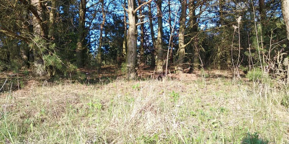 Landscape Stock Photos