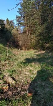 Landscape Stock Photos