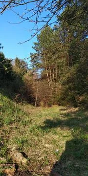 Landscape Stock Photos