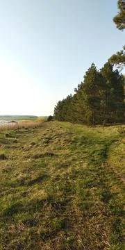 Landscape Stock Photos