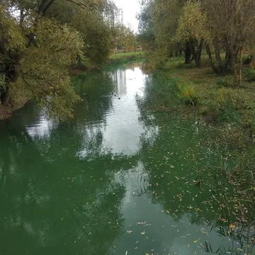 Landscape Stock Photos