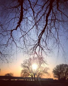 Landscape Stock Photos