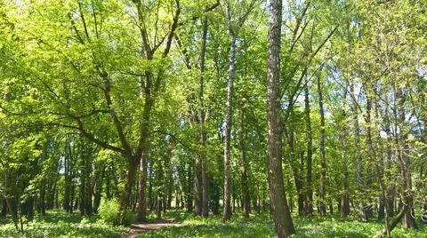 Landscape Stock Photos