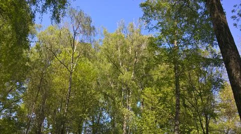 Landscape Stock Photos