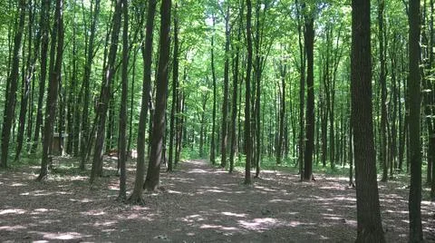 Landscape Stock Photos