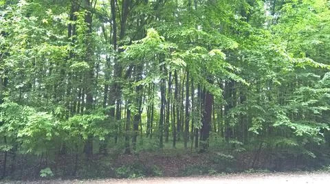 Landscape Stock Photos