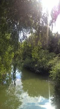 Landscape Stock Photos