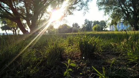 Landscape Stock Photos