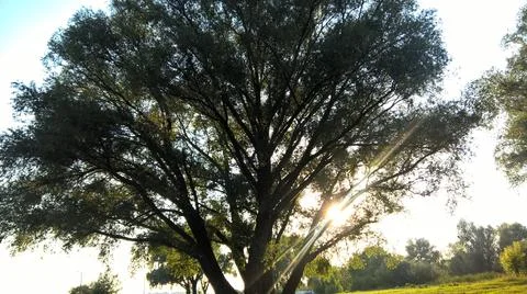 Landscape Stock Photos