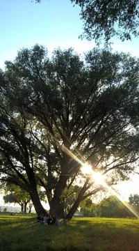 Landscape Stock Photos