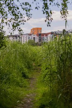 Landscape Stock Photos