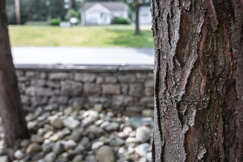 Landscape Stock Photos