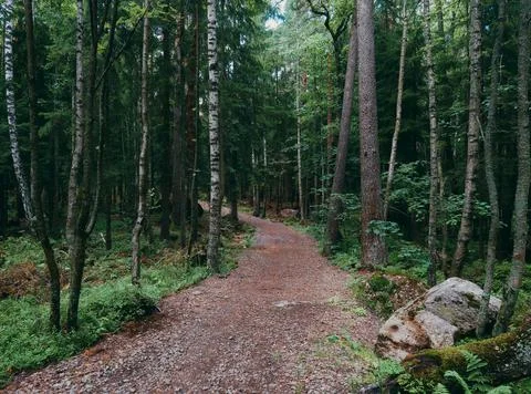 Landscape Stock Photos