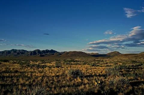 Landscape Stock Photos