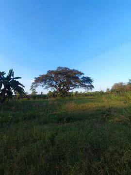 Landscape Stock Photos