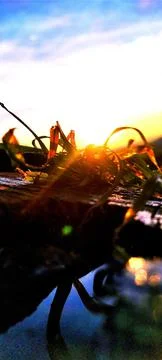 Landscape Foto stock