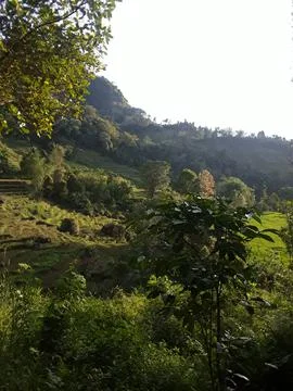 Landscape Stock Photos