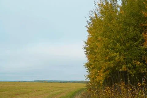 Landscape Stock Photos