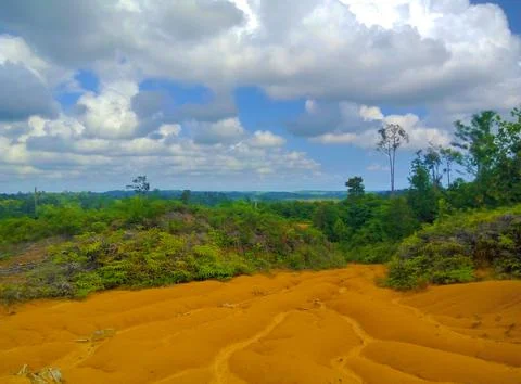 Landscape Stock Photos