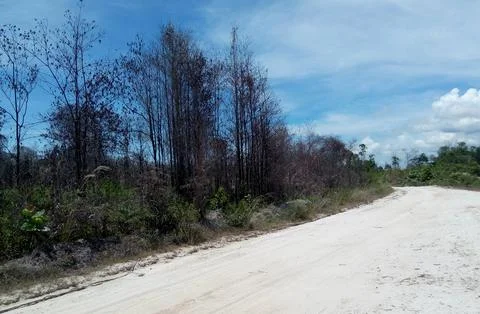 Landscape Stock Photos