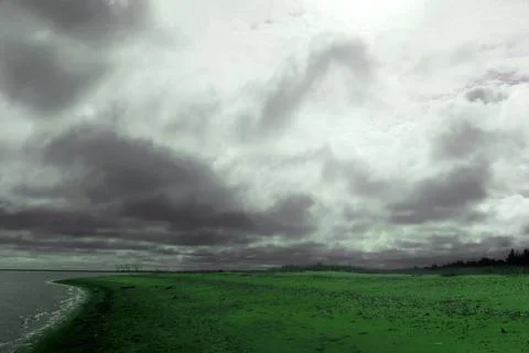 Landscape Foto stock