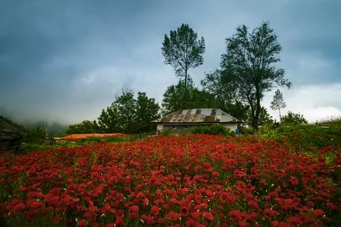 Landscape Stock-Fotos