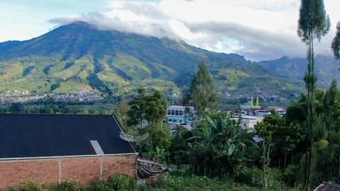 Landscape Stockfoto's