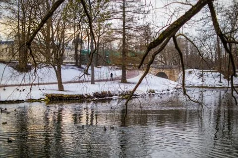 Landscape Foto stock