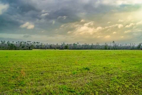 Landscape 库存照片