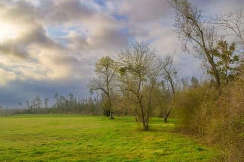 Landscape Stock Photos