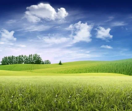 Landscape Stock Photos